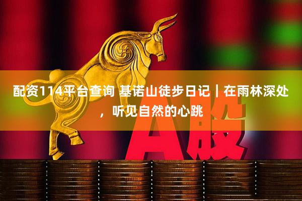 配资114平台查询 基诺山徒步日记｜在雨林深处，听见自然的心跳