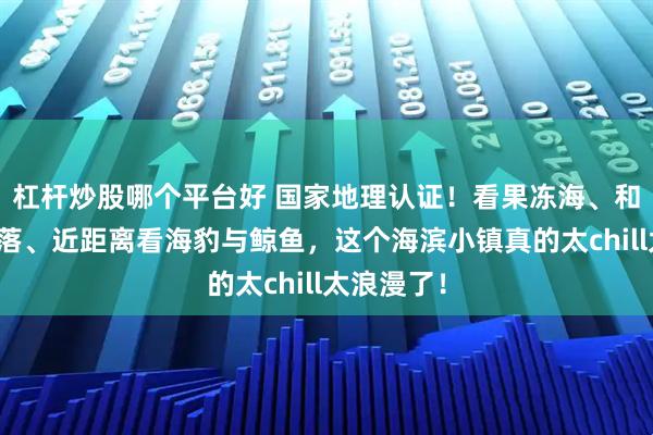 杠杆炒股哪个平台好 国家地理认证！看果冻海、和袋鼠看日落、近距离看海豹与鲸鱼，这个海滨小镇真的太chill太浪漫了！